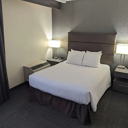 Best Western Plus Toronto Airport Hotel-3